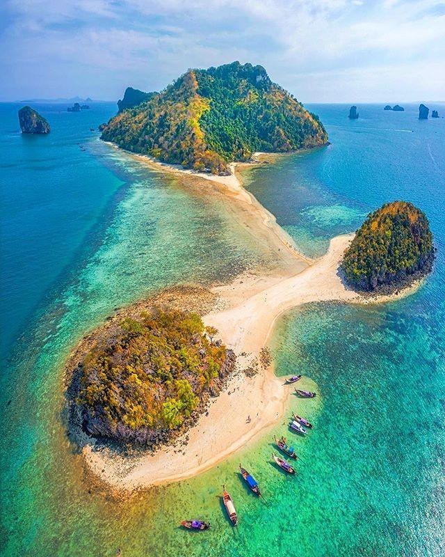 沪江开心词场