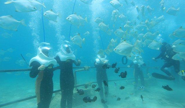 江西连发176道天气预警!明早多地冰冻!这些提醒千万记牢……